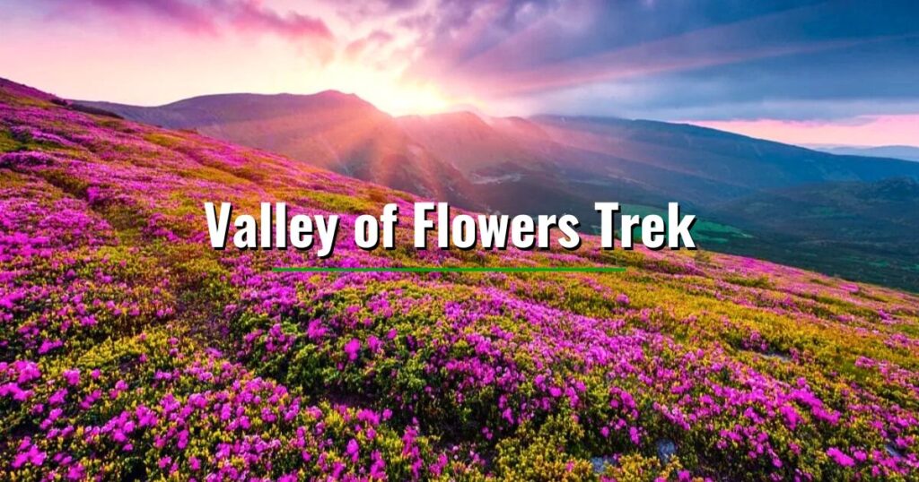 Valley of Flowers: Nature’s Kaleidoscope in Full Bloom
